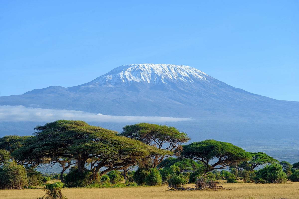 Snow-capped Mount Kilimanjaro rising above acacia trees on the savanna.